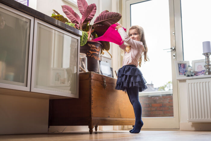 opvang van pleegkinderen