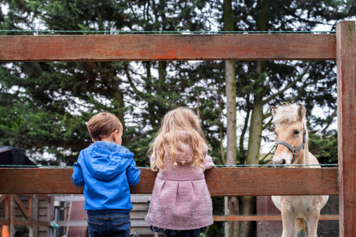 begeleiding jeugdbescherming